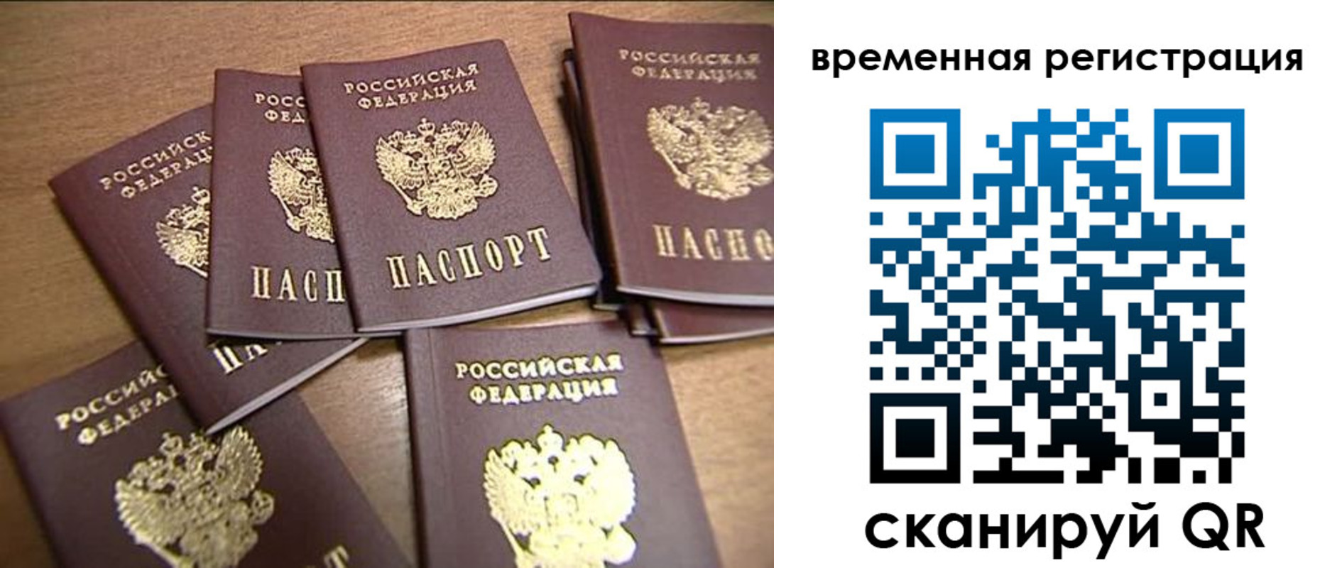 прописка ребенка в Сольцах